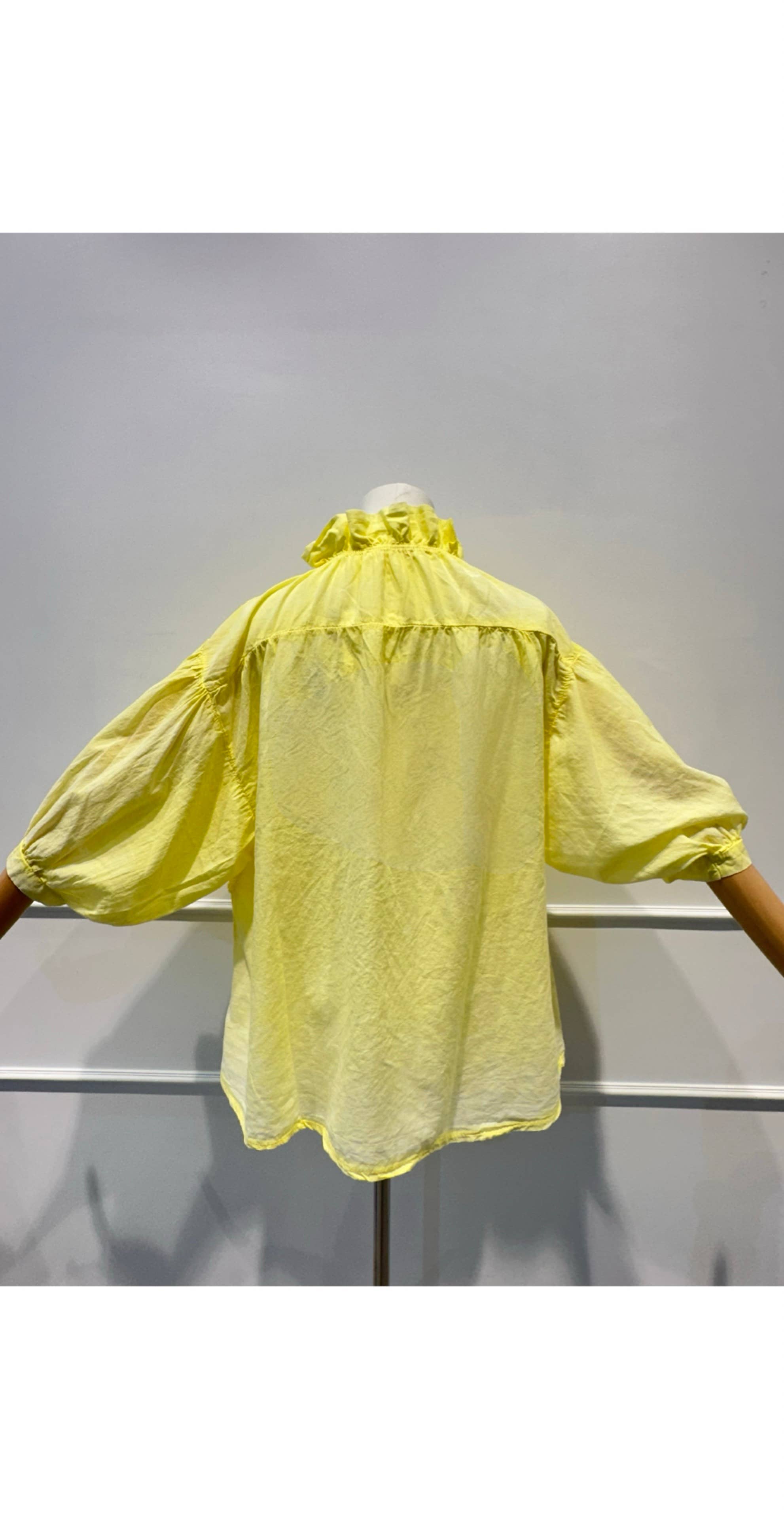 Blouse Brodée à Manches Bouffantes Broderie en Relief